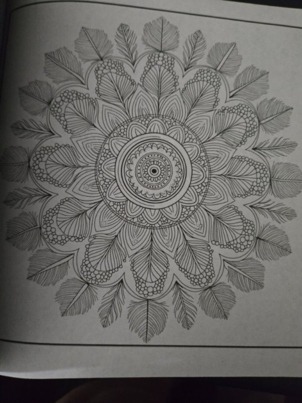 Intricate Mandalas Adult Coloring Book Alan Ritchie New Relaxation Meditation - Picture 6 of 8